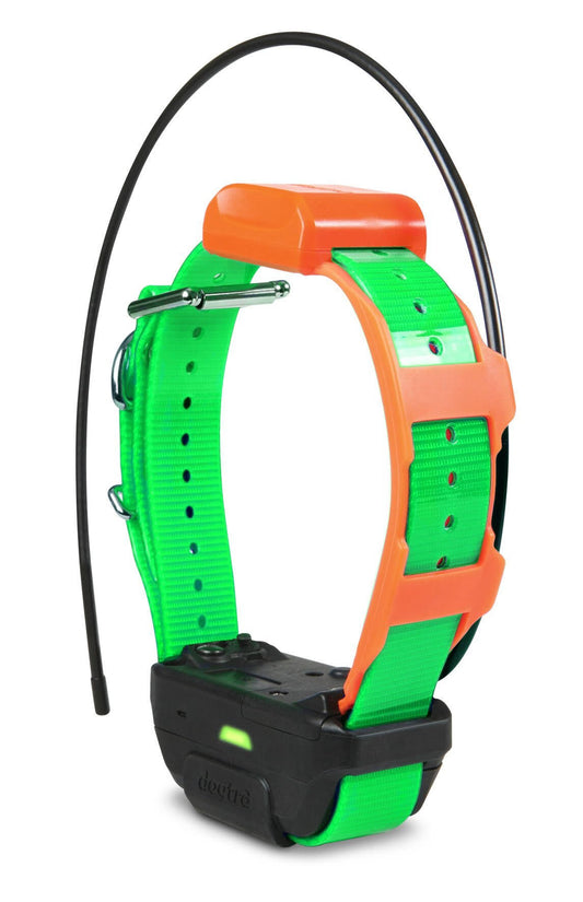 Pathfinder Trx Tracking Only Collar Green